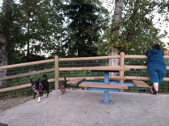 Dog Park Lowell Riverfront Dog Park Everett
