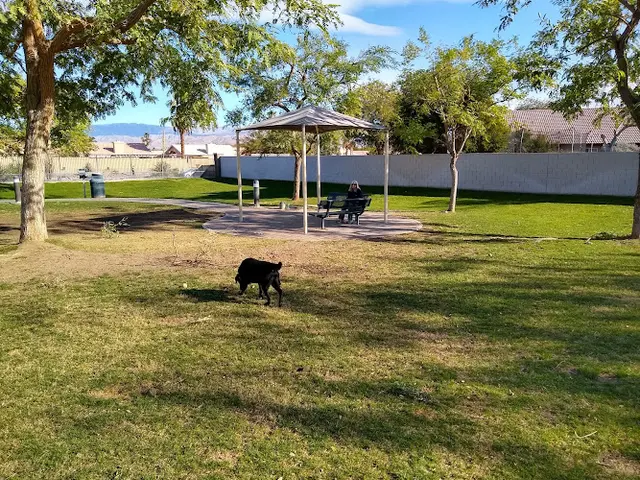 Dog Park Pioneer Dog Park Indio