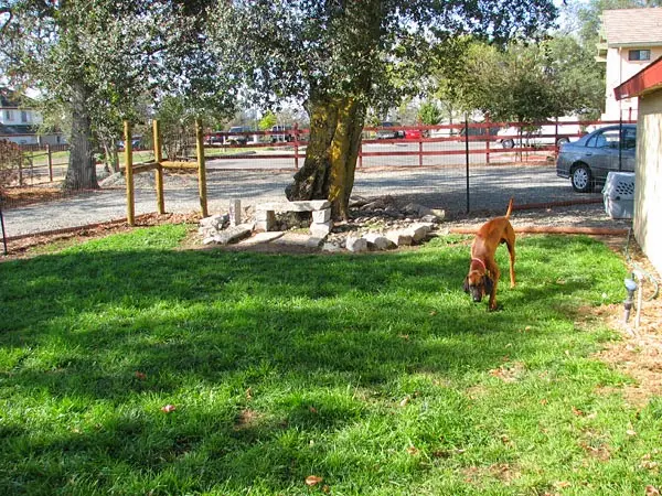 Pet vet Rocklin Road Animal Hospital Roseville