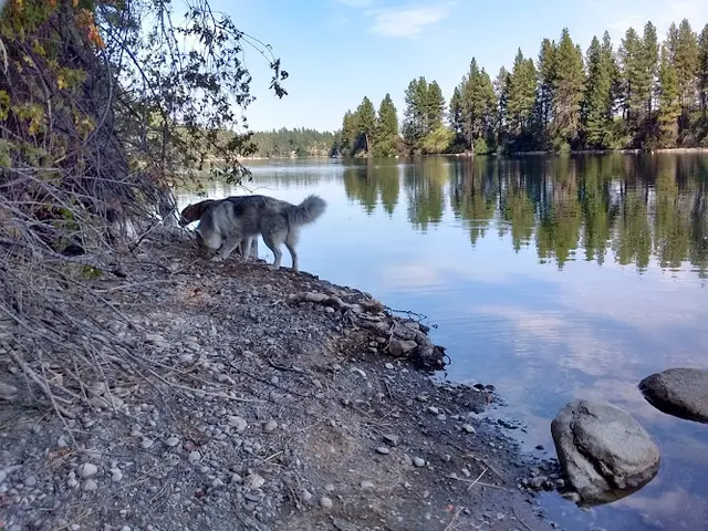 Dog Park Camp Sekani Gravel Lot Spokane