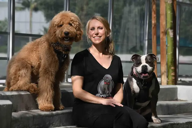 Dog trainer Wiggles University Carlsbad