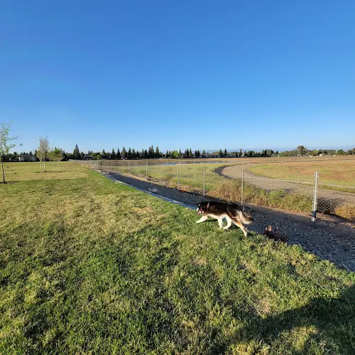 Dog Park David McDonald Park Fresno