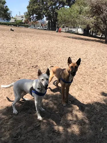 Dog Park Westminster Dog Park Inglewood