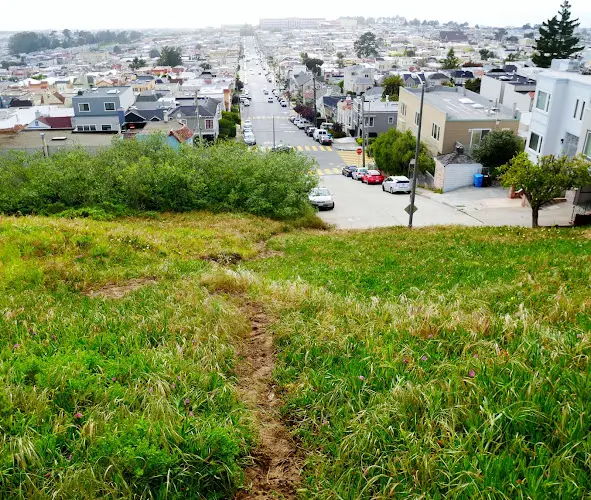 Dog Park Hawk Hill San Francisco
