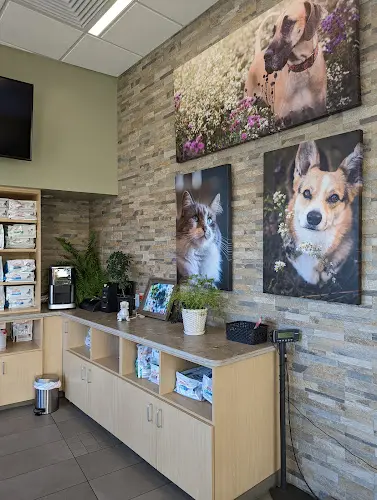 Pet vet VCA Westside Animal Hospital Sacramento