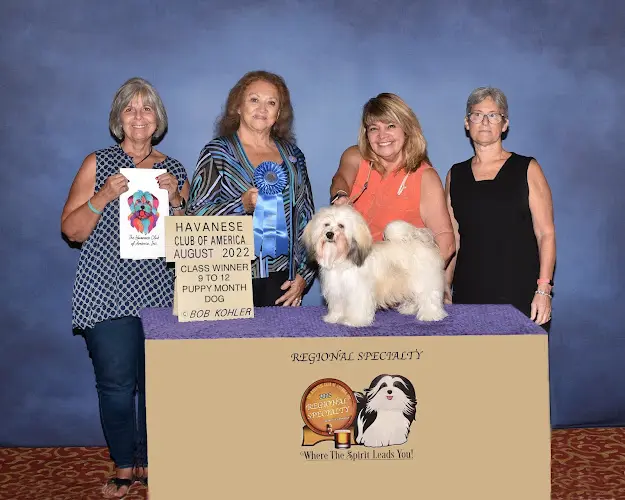 Dog breeder Los Arriba Havanese Fresno
