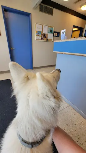 Pet vet Crestwood Animal Hospital Tacoma