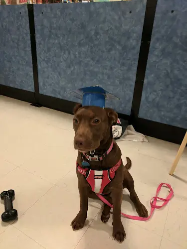 Pet boarding service PetSmart Sacramento