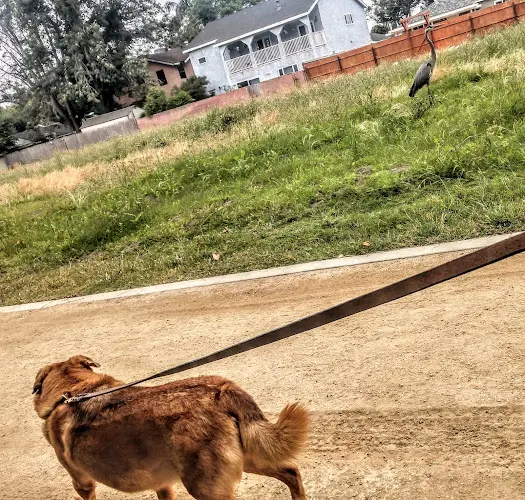 Dog Park West San Gabriel River Parkway Nature Trail Long Beach