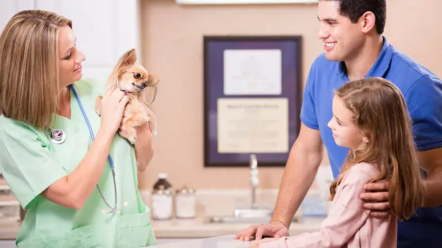 Pet vet Dublin Veterinary Hospital Livermore