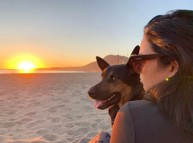 Pet vet La Quinta Pet Hospital Indio