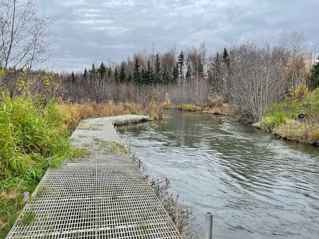 Dog Park Emerald Hills Parks Anchorage