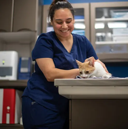 Pet vet Coastal Animal Hospital Oceanside