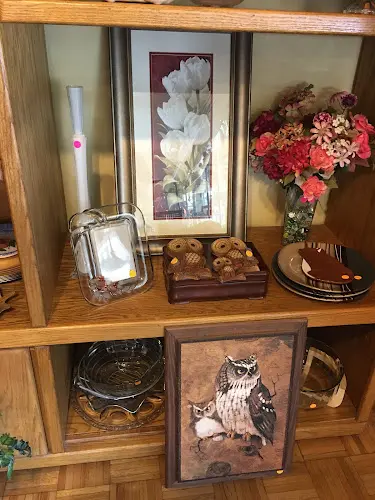 Rescue & Shelter PawPrints Thrift Boutique Chico
