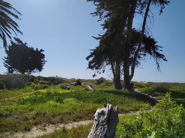 Dog Park Emma Wood State Beach Ventura