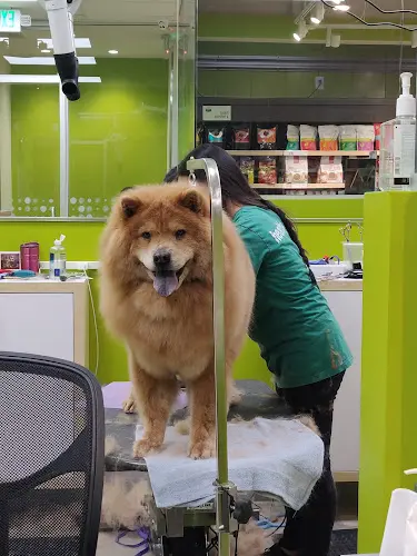 Pet vet Healthy Spot Pasadena