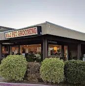Pet vet M & J Pet Grooming Sunnyvale