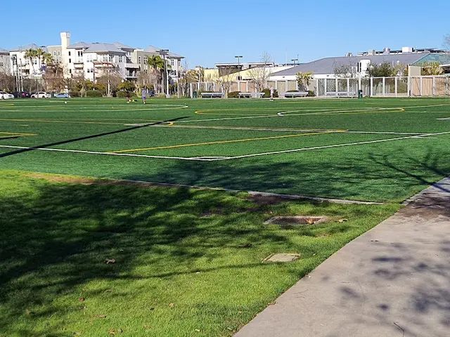 Dog Park The Sports Park Inglewood