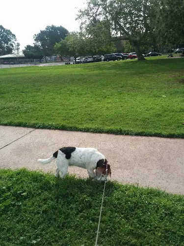 Dog Park Harbour View Park Huntington Beach