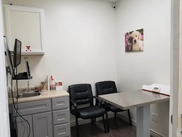 Pet vet Topanga Veterinary Clinic Santa Monica