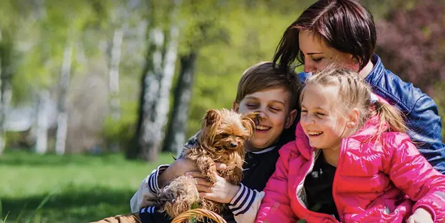 Pet vet Roseway Veterinary Hospital Gresham