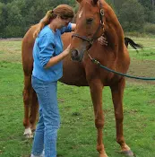 Pet vet Mueller Animal Chiropractic Bellingham