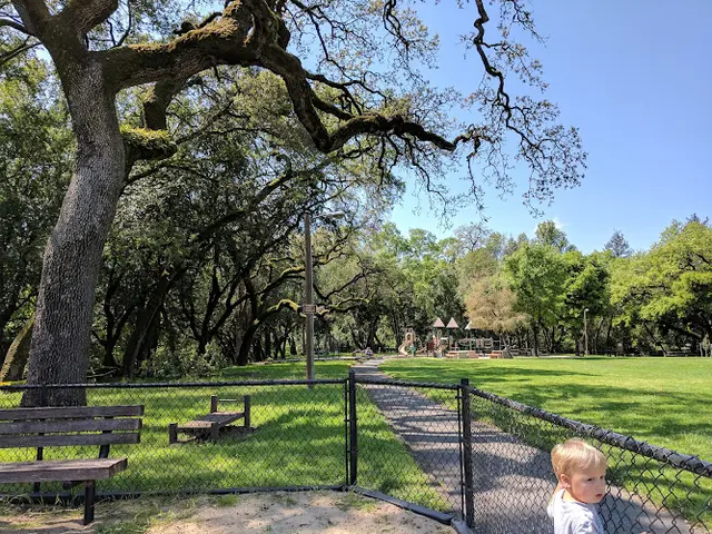Dog Park Doyle Community Park Santa Rosa