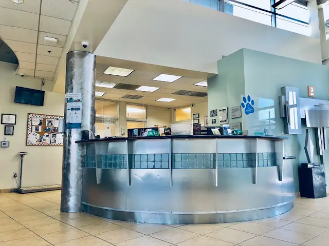 Pet boarding service VCA Venture Animal Hospital Los Angeles