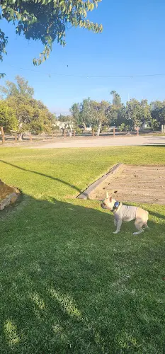 Dog Park Irvine Ranch Historic Park Irvine