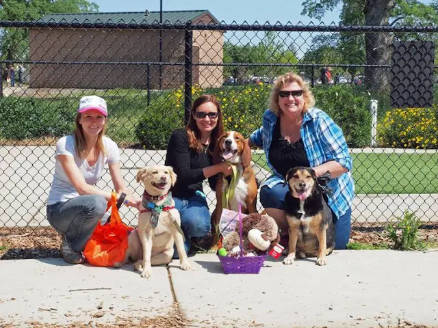 Dog trainer RRUFF Dog Park Roseville