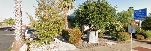 Pet vet Caraway Nicole DVM Redding