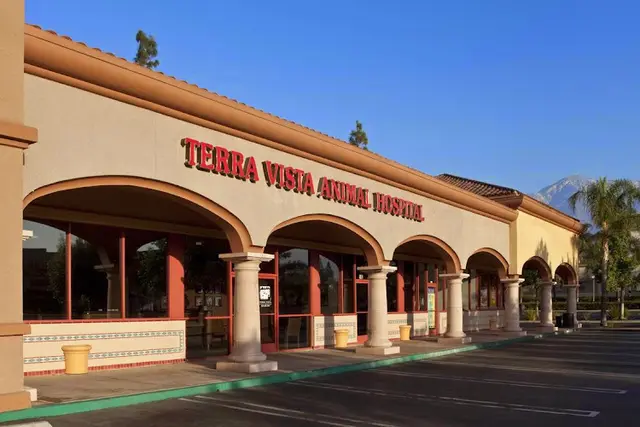 Dog day care center Terra Vista Animal Hospital Rancho Cucamonga