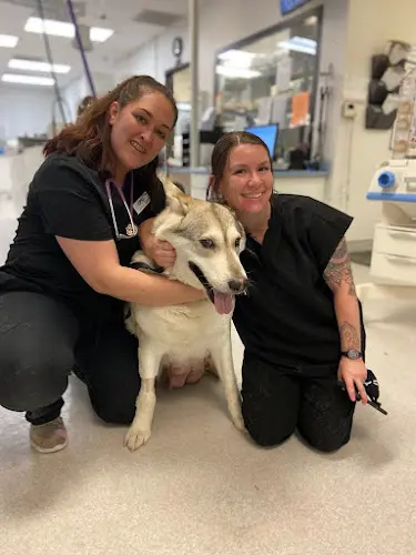 Dog day care center Emergency Pet Clinic Temecula