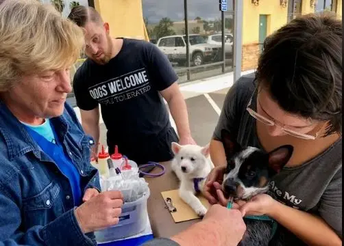 Pet vet Shots For Pets Chula Vista