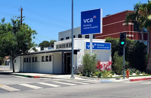 Pet vet VCA Burbank Animal Hospital Glendale
