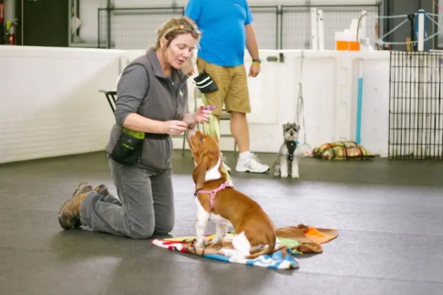 Dog trainer Happy Pup Training Renton
