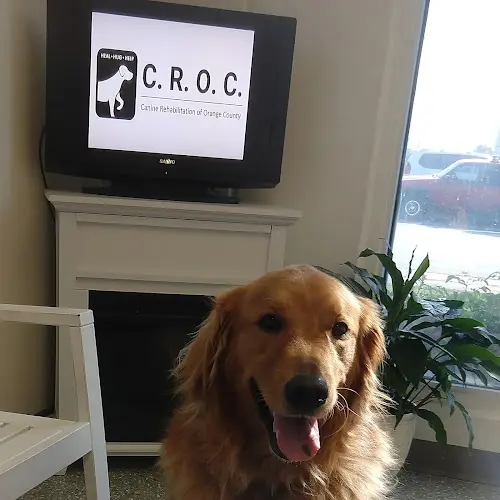 Pet vet Canine Rehabilitation Of Orange County Orange