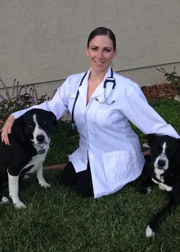 Pet vet Rancho San Carlos Pet Clinic El Cajon