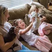 Dog breeder Sacto Labradoodles Sacramento
