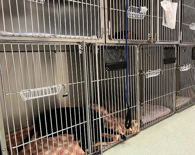 Pet boarding service Spay & Neuter Clinic Eugene
