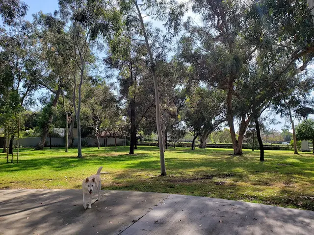 Dog Park Gibbs Park Huntington Beach
