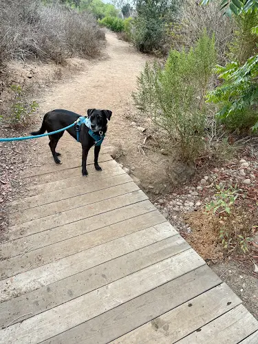 Dog Park 32nd Street Open Space San Diego