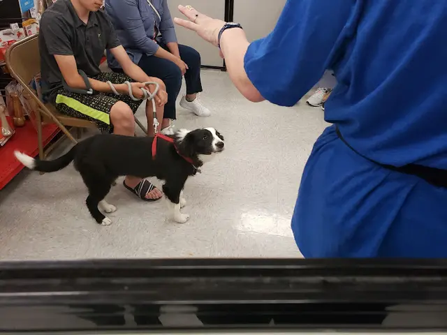 Rescue & Shelter Petco Daly City