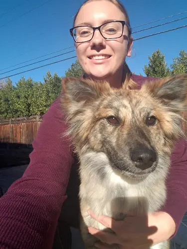 Dog day care center Chelseas Pet Sitting Sacramento