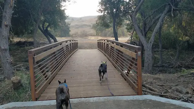 Dog Park Sapwi Trails Community Park Thousand Oaks