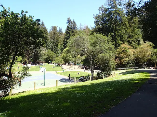 Dog Park Codornices Park Berkeley