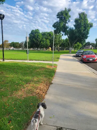 Dog Park Cypress Trails Park Ontario