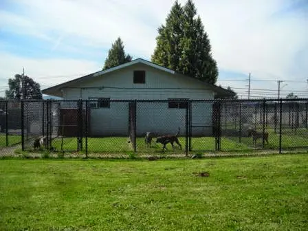 Pet vet Orchard Hills Animal Hospital Gresham