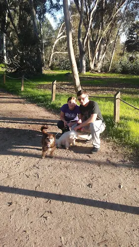 Dog walker Lagoon Trail At Pelican Road Carlsbad