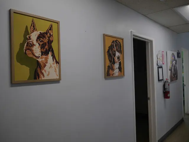 Pet vet Avenue 26 Small Animal Hospital Pasadena